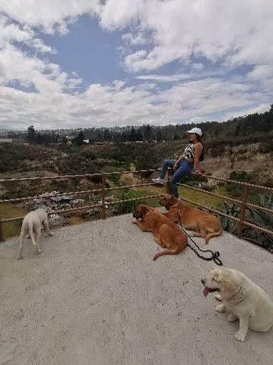 Fakali Homestay Quito Exteriér fotografie
