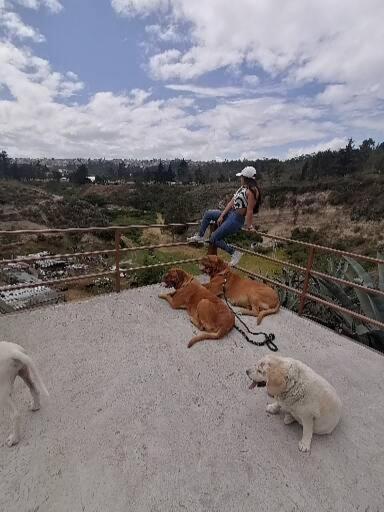 Fakali Homestay Quito Exteriér fotografie